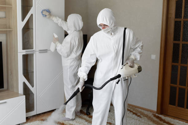 Best Mold Remediation  in Sullivan, IL
